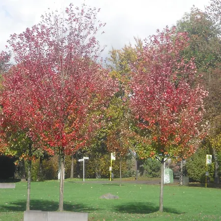 Apartman Hardtblick *